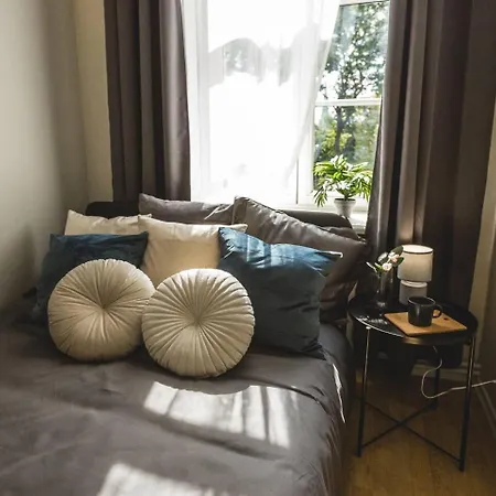 Spacious 5-bedroom Art Nouveau - Valdemara Riga