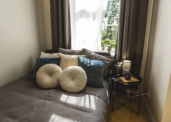 Spacious 5-bedroom Art Nouveau - Valdemara Riga